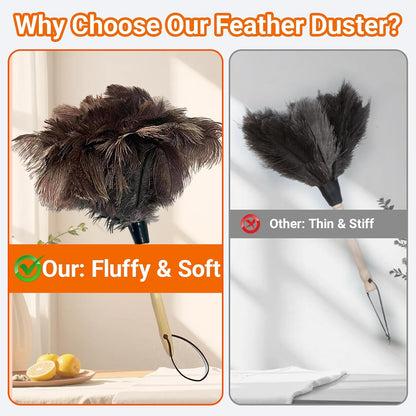 NCEDN Genuine Ostrich Feather Duster 40 Inches - Extendable Stainless Steel Handle, 8 Inches Long Thick Feathers, Telescopic Duster for Ceiling Fans, Blinds, Furniture, Car, Washable