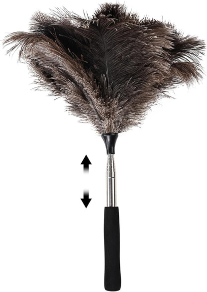 Ostrich Feather Duster 12 Inch Handheld Duster Supplies, Wooden Handle Feather Duster for Cleaning Keyboard Home Car Office (Champagne)