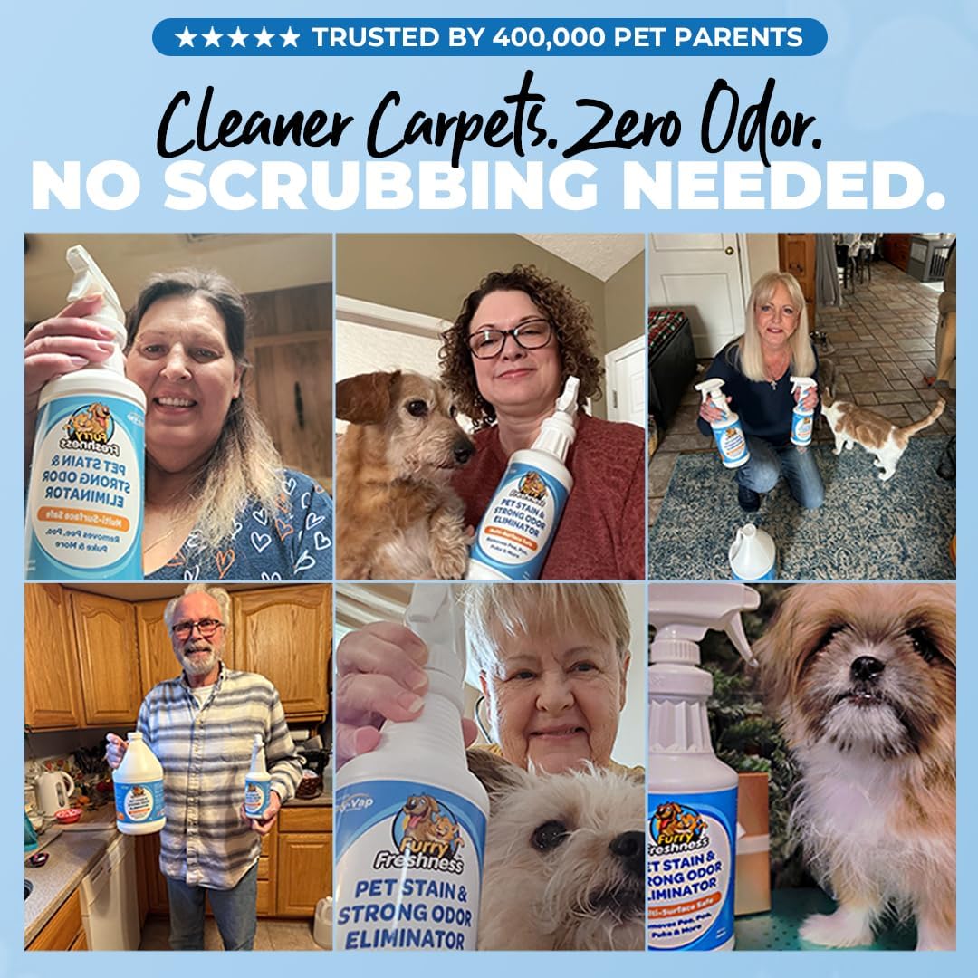 FurryFreshness Extra Strength Cat or Dog Pee Stain & Permanent Odor Remover + Smell Eliminator -Removes Stains From Pets & Kids Including Urine or Blood- Lifts Old Carpet Stains- (2 Pack)