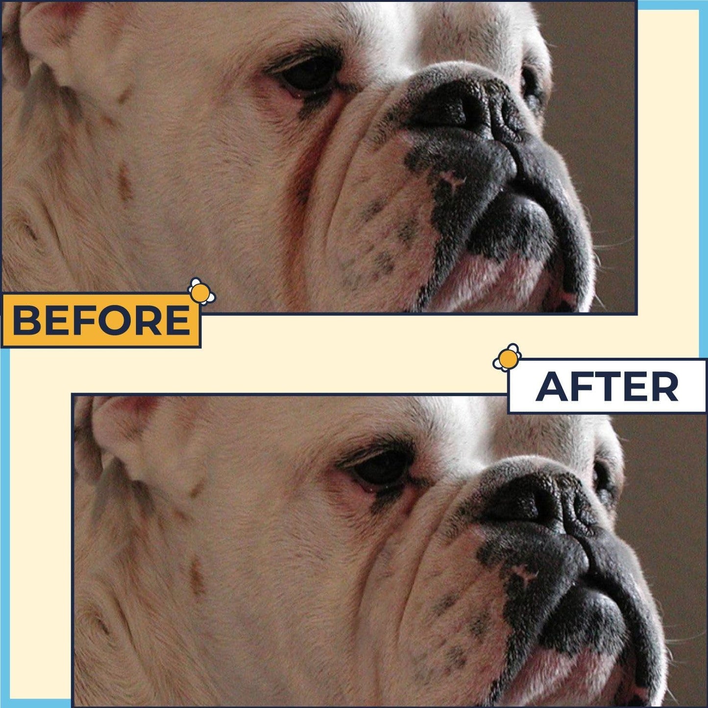 Paste for Bulldogs Wrinkle 2oz+ 50 Wrinkle Wipes French Bulldog (Pack of 2)- Wrinkle Cream for Dogs, Frenchie, English Bulldog, Pug- Cleans Rashes,Tail Pockets, Dry Skin & Paws (Made In USA)