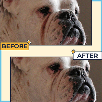 Paste for Bulldogs Wrinkle 2oz+ 50 Wrinkle Wipes French Bulldog (Pack of 2)- Wrinkle Cream for Dogs, Frenchie, English Bulldog, Pug- Cleans Rashes,Tail Pockets, Dry Skin & Paws (Made In USA)