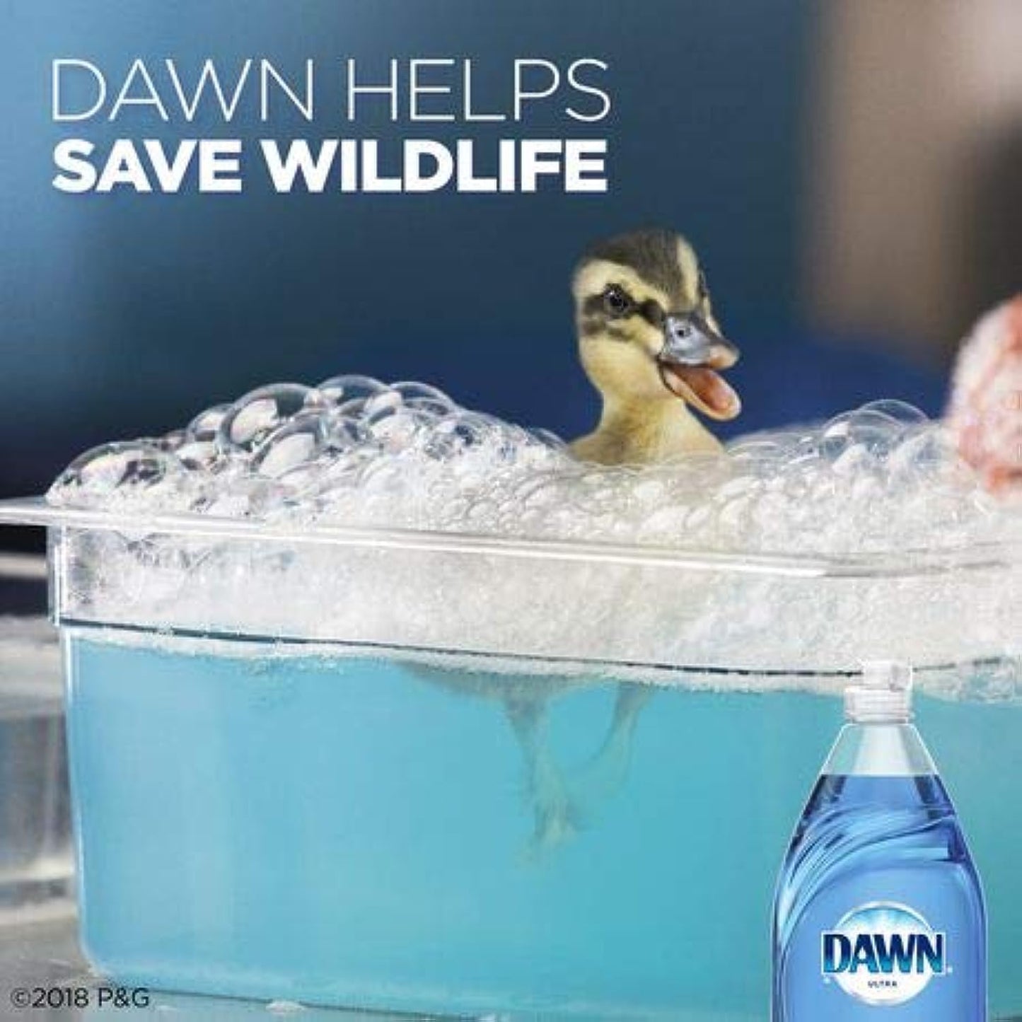 Dawn Dishwashing Liquid, Original Scent, 38 fl oz
