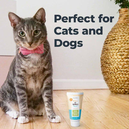 Oxyfresh Professional Cat & Dog Toothpaste, Teeth Cleaning Gel for Plaque, Tartar & Bad Breath, Vet-Approved Pet Dental Care, 4 oz