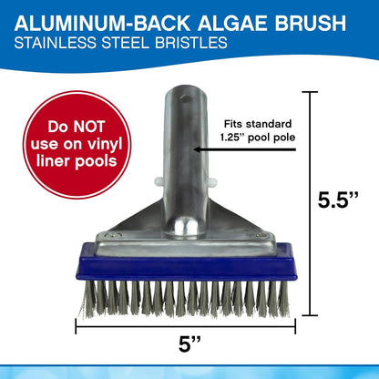 Poolmaster 5-Inch Stainless Steel Pool Algae Detail Brush, Heavy-Duty Aluminum Back, for Gunite Concrete Pools and Spas, Small Narrow Head for Corners, Steps and Tight Areas