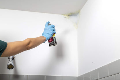 qt Zinsser 276087 White Zinsser, Mold Killing Primer Water-Based Mold Killing Primer