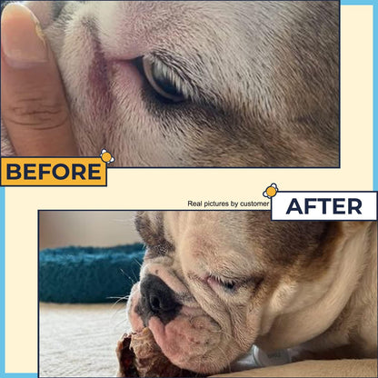 Paste for Bulldogs Wrinkle 2oz+ 50 Wrinkle Wipes French Bulldog (Pack of 2)- Wrinkle Cream for Dogs, Frenchie, English Bulldog, Pug- Cleans Rashes,Tail Pockets, Dry Skin & Paws (Made In USA)