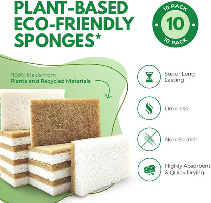 AIRNEX Biodegradable Natural Kitchen Sponges Pack of 6 - Cellulose and Coconut Walnut Scrubber Sponge - Eco Friendly Sponges for Dishes