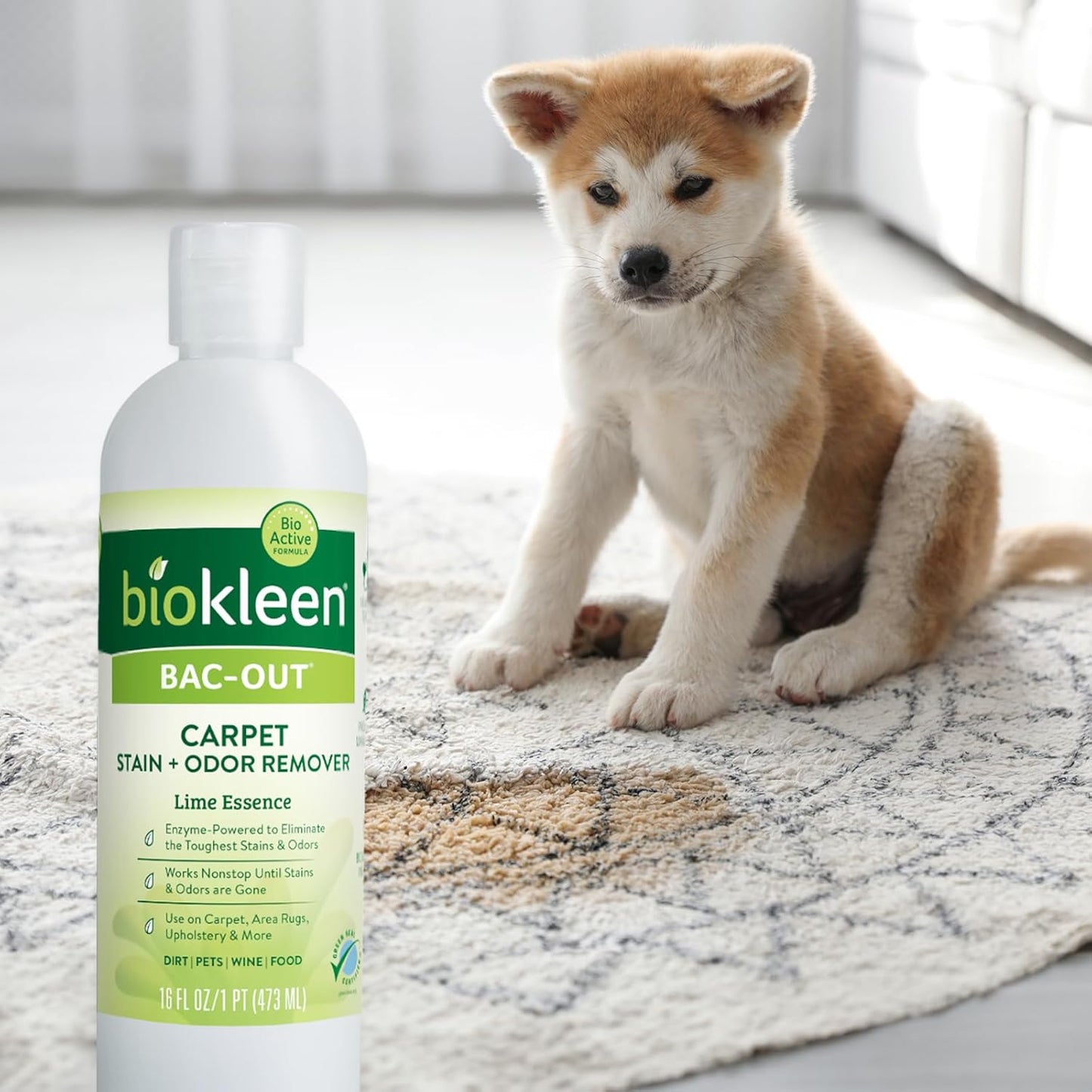 Biokleen Bac-Out Enzyme Cleaner and Stain & Odor Remover for Pet Stains, Laundry, Diapers, Wine, Carpets, & More, Eco-Friendly, Non-Toxic, Lime Scent, 128 Ounces