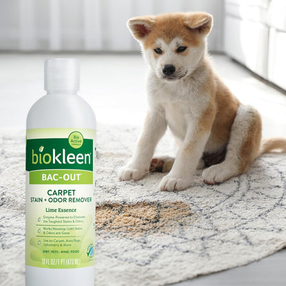 Biokleen Bac-Out Enzyme Cleaner and Stain & Odor Remover for Pet Stains, Laundry, Diapers, Wine, Carpets, & More, Eco-Friendly, Non-Toxic, Lime Scent, 128 Ounces