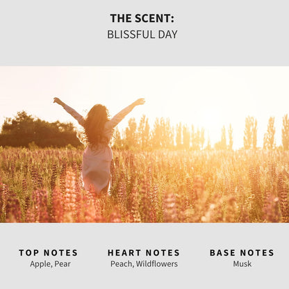 Lapew Santal Scented Mop Soap - Luxury Floor Cleaner Concentrate for Mopping Tile, Laminate, Vinyl & Hardwood | Streak-Free, Low-Foam | 36 oz - Colors B