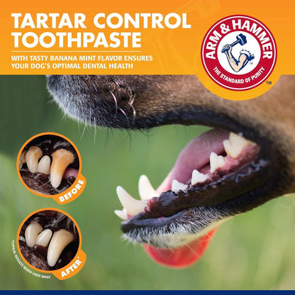 Arm & Hammer for Pets Tartar Control Dog Dental Kit, Enzymatic Toothpaste with Toothbrush and Fingerbrush, Baking Soda Formula Reduces Plaque and Tartar, Safe for Puppies, Beef Flavor, 3-Piece