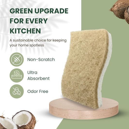 12 Pack Non-Scratch & Odor-Free Eco Sponges – Natural Biodegradable Cellulose & Coconut Fiber Kitchen Scrubbers – Compostable, Zero Waste Sponges for Dishwashing & Cleaning