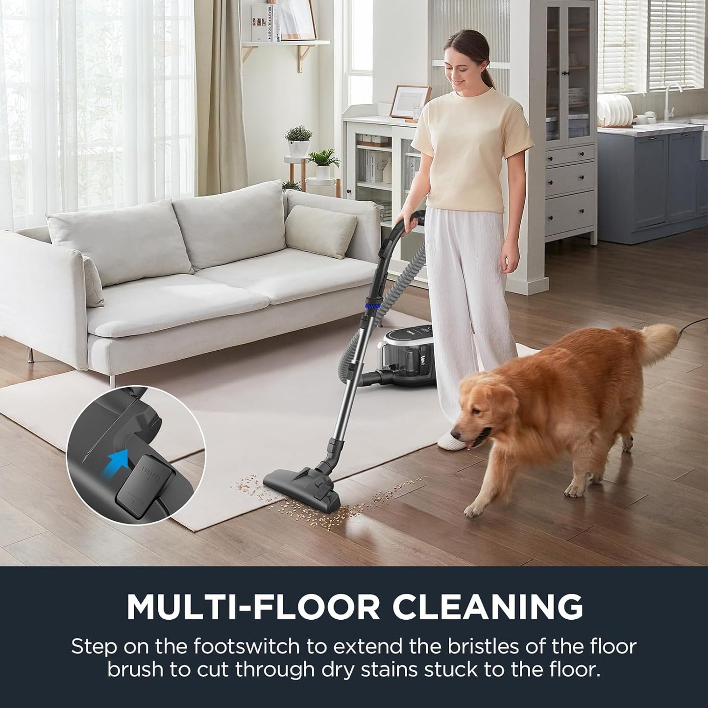 Eureka WhirlWind Bagless Canister 2.5L Vacuum Cleaner, Lightweight Vac for Carpets and Hard Floors, NEN110A, Blue