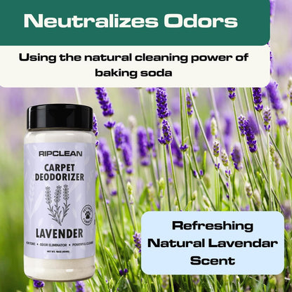 Ripclean Carpet Deodorizer & Freshener Cleaning Powder, Odor Eliminator for Strong Odors & Homes w/Pets, Safe around Kids & Pets, Use on Carpet, Rugs, Upholstery & More (16 Ounce, Lemon)