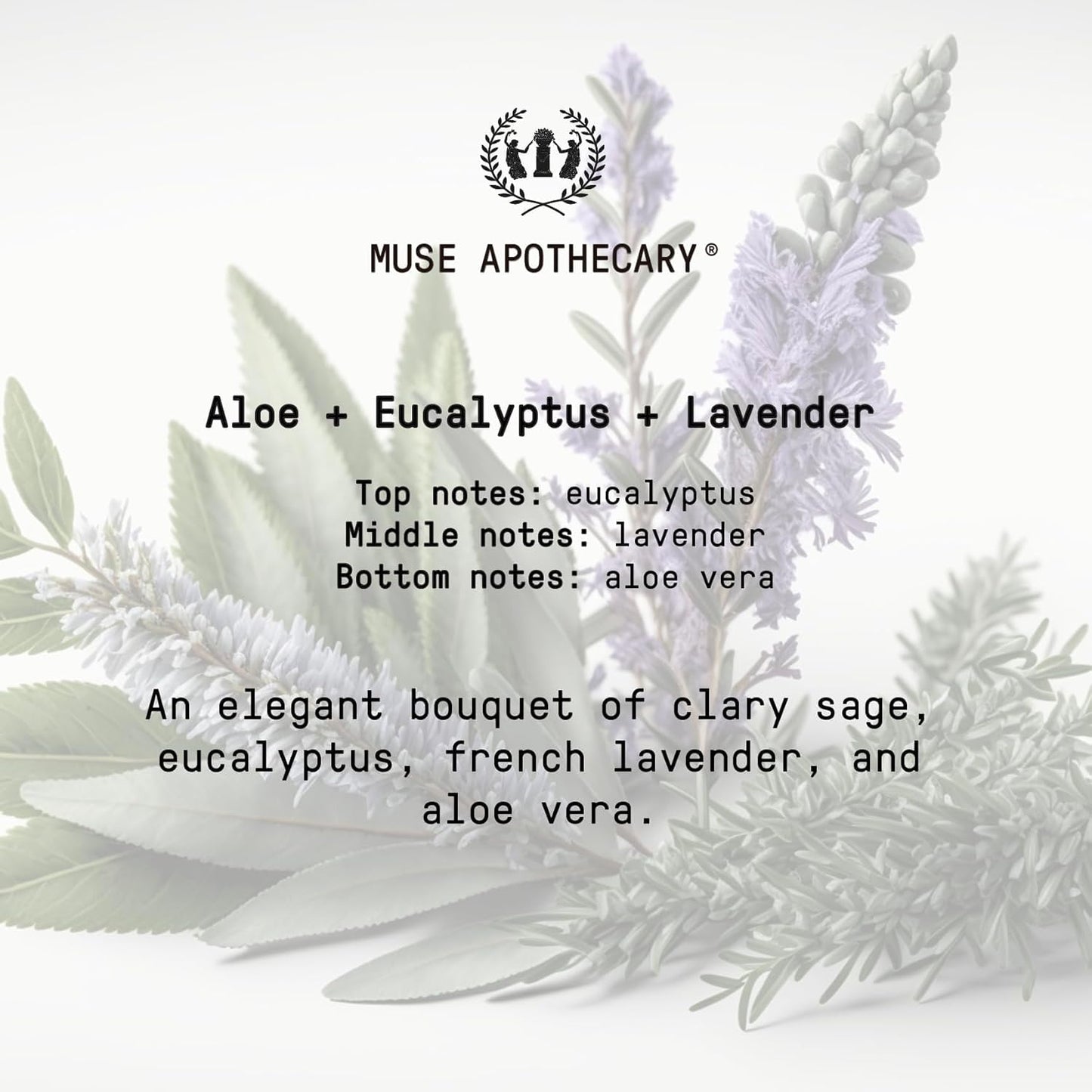 Muse Apothecary Flush Ritual - Aromatic & Refreshing Toilet Spray, Use Before You Go, 4 oz, Infused with Natural Essential Oils - Coconut + Sandalwood