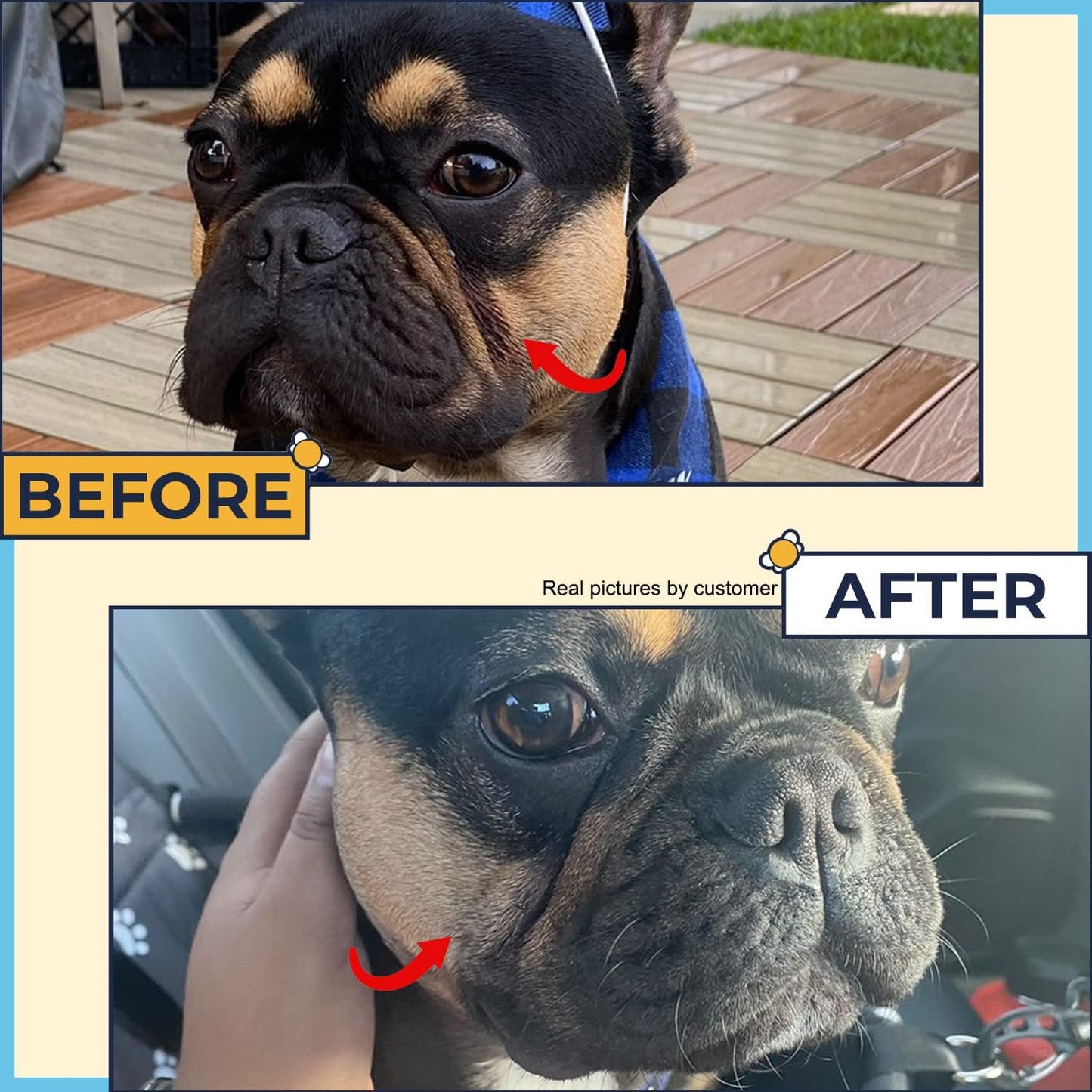 Paste for Bulldogs Wrinkle 2oz+ 50 Wrinkle Wipes French Bulldog (Pack of 2)- Wrinkle Cream for Dogs, Frenchie, English Bulldog, Pug- Cleans Rashes,Tail Pockets, Dry Skin & Paws (Made In USA)