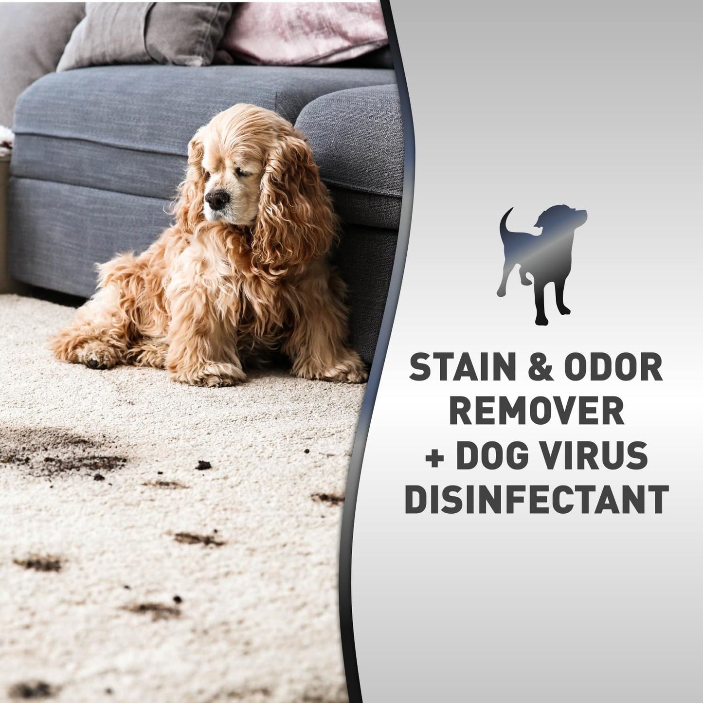 Nature’s Miracle Advanced Platinum Stain and Odor Remover and Virus Disinfectant, 32 Ounces, Disinfects and Cleans