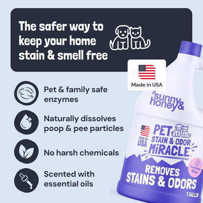 Sunny & Honey Pet Stain and Odor Remover - Enzyme Cleaner for Dog Urine and Poop on Carpets and Furniture - Strong Pet Carpet Cleaner Spray (1 Gallon Mint)