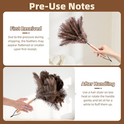 Extendable Ostrich Feather Duster with 19-49 inch Rotatable Stainless Steel Pole, Natural Feather Duster for Ceiling Fan Cobweb Dusting, Reusable Flexible Cleaning Duster(Include 1 Replacement Heads)