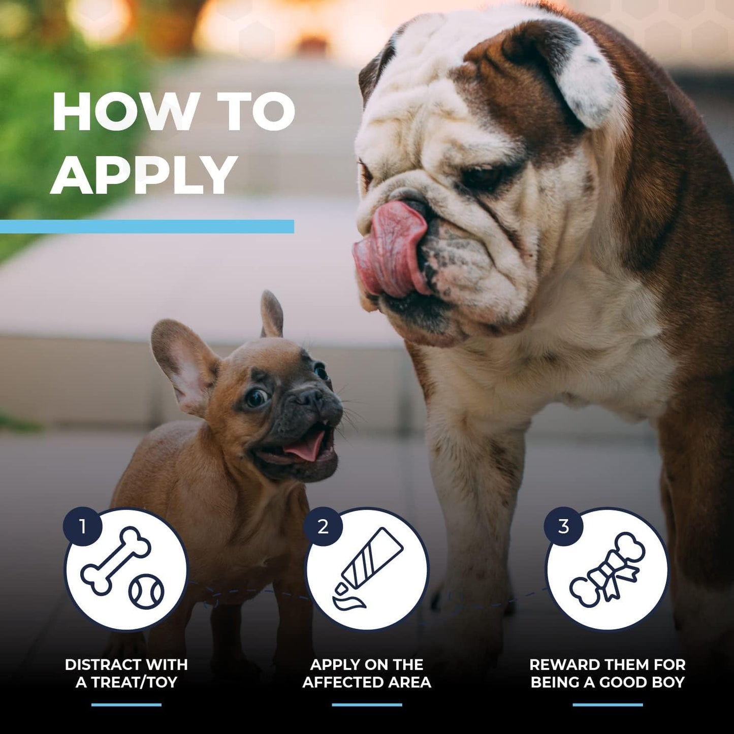 Paste for Bulldogs Wrinkle 2oz+ 50 Wrinkle Wipes French Bulldog (Pack of 2)- Wrinkle Cream for Dogs, Frenchie, English Bulldog, Pug- Cleans Rashes,Tail Pockets, Dry Skin & Paws (Made In USA)