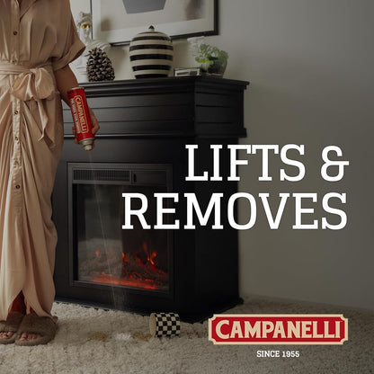 Campanelli Pro Series Stain Remover Point & Spray Carpet & Upholstery Cleaner for Pet Stains & Odors, Food Stains, Wine, Coffee, Dirt and More! – 18oz Aerosol