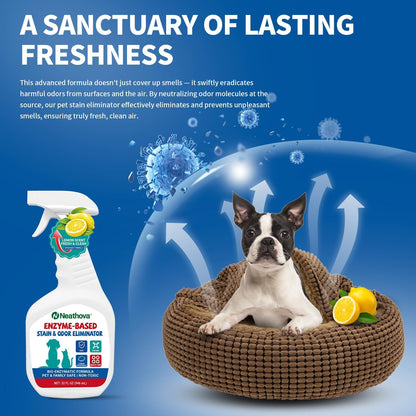 Stain & Strong Odor Eliminator, Enzyme Cleaner, Pet Odor Eliminator for Home - Carpet Stain Remover for Cats & Dog Pee - Urine Destroyer - Carpet Cleaner Spray Clear (Unscented)