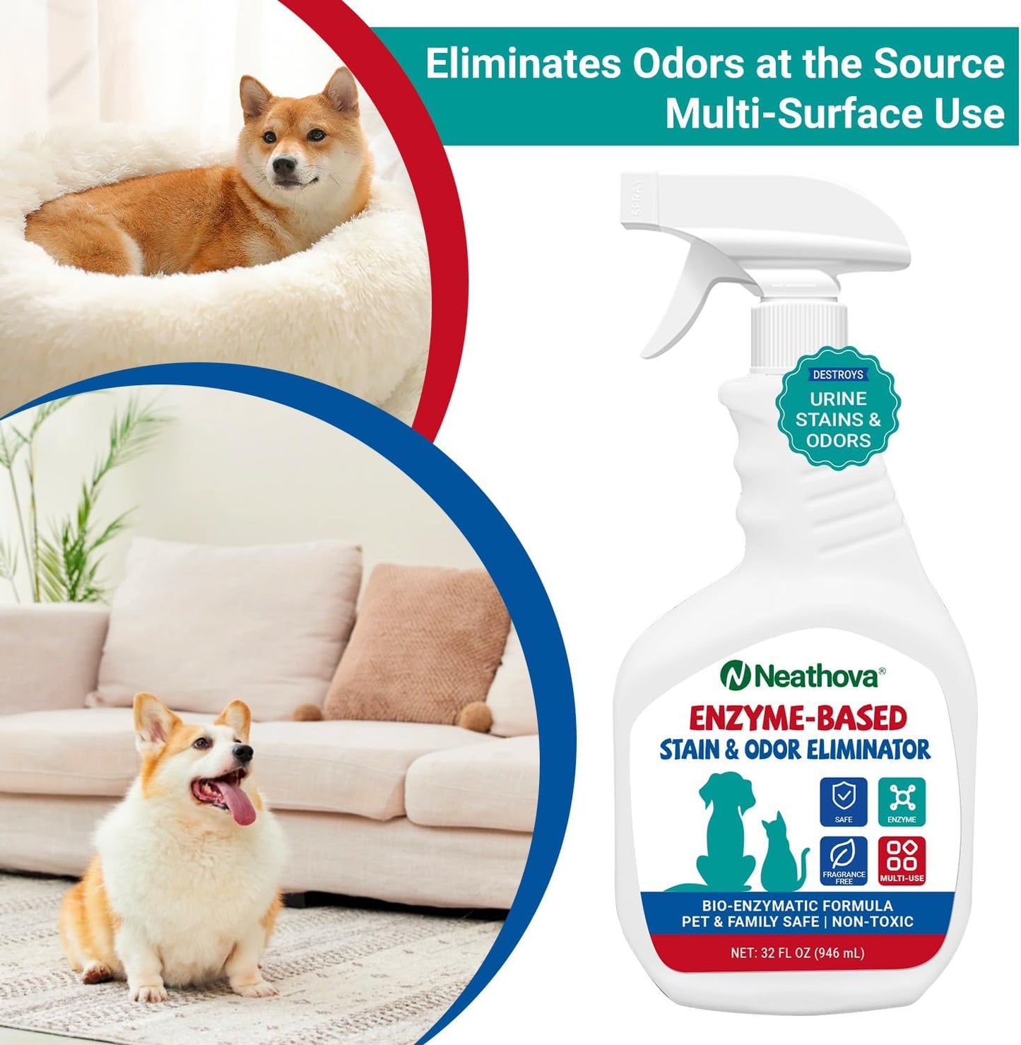 Stain & Strong Odor Eliminator, Enzyme Cleaner, Pet Odor Eliminator for Home - Carpet Stain Remover for Cats & Dog Pee - Urine Destroyer - Carpet Cleaner Spray Clear (Unscented)
