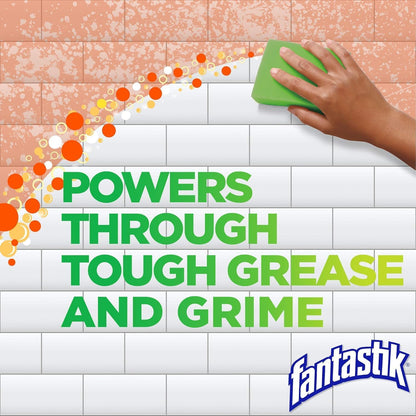 Fantastik All-Purpose Cleaner, with Bleach, 32 Fl Oz