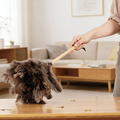 NCEDN Genuine Ostrich Feather Duster 40 Inches - Extendable Stainless Steel Handle, 8 Inches Long Thick Feathers, Telescopic Duster for Ceiling Fans, Blinds, Furniture, Car, Washable