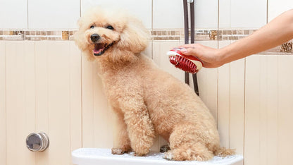 CHI for Dogs Rubber Fur Accumulator Brush, Dog Grooming Tool for Removing Loose Hair and Lint from Coats Furniture Clothing and Car Seats, Flexible Rubber Bristles, Easy Clean Grooming Brush