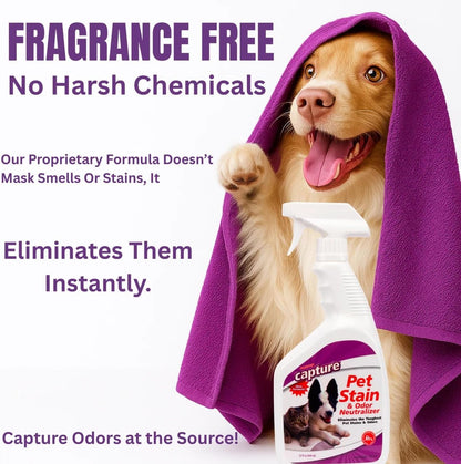 Capture Pet Stain & Odor Remover - Enzyme Pet Odor Eliminator for Home, Carpet Stain Remover for Cats & Dog Pee, Cat Urine Destroyer, Carpet Cleaner Spray - 1 Gallon