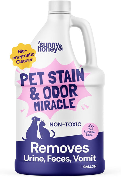 Sunny & Honey Pet Stain and Odor Remover - Enzyme Cleaner for Dog Urine and Poop on Carpets and Furniture - Strong Pet Carpet Cleaner Spray (1 Gallon Mint)