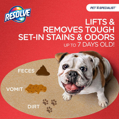Pet Specialist Heavy Traffic Foam Carpet Cleaner, Pet Stain & Odor Remover, 22 oz Cans, 2 Pack