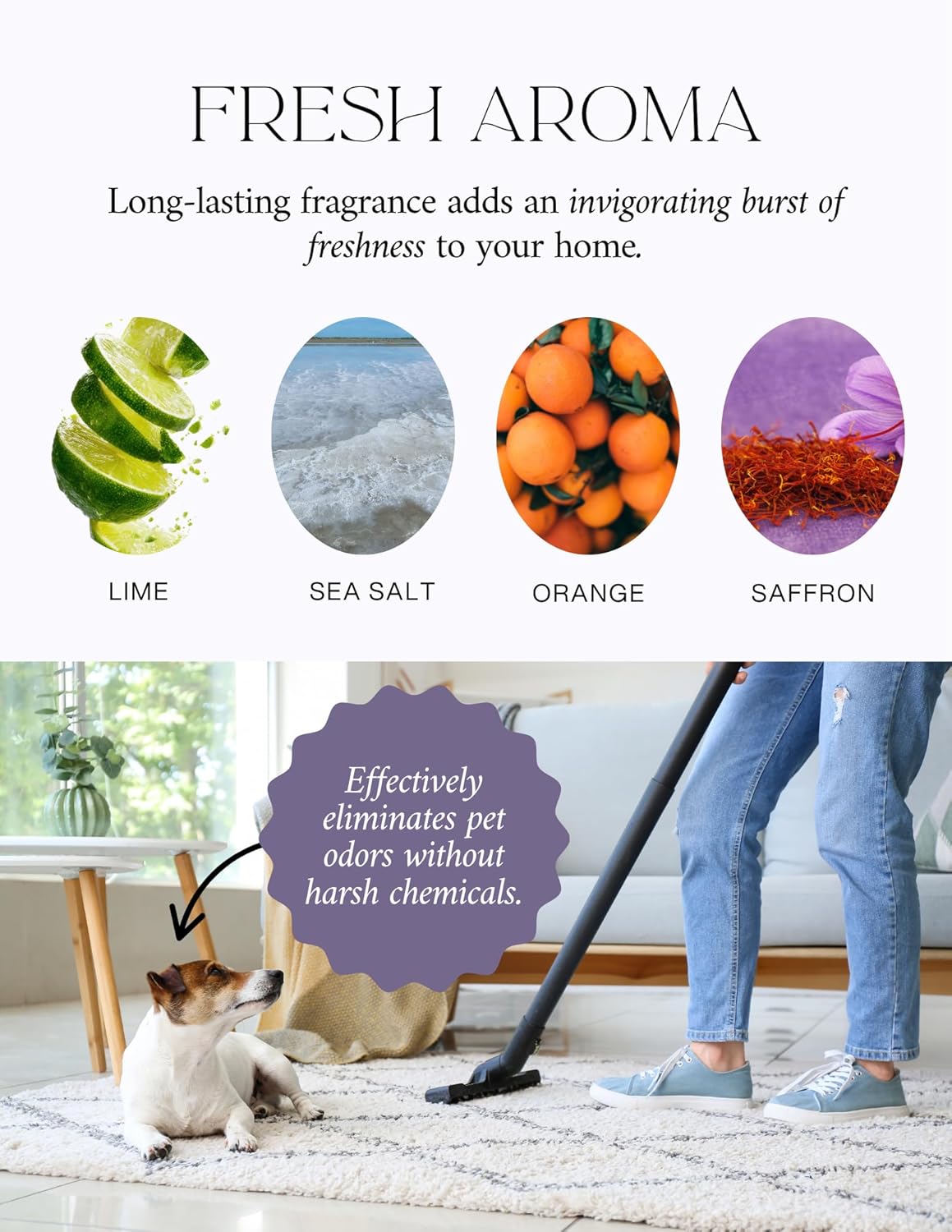 Home “Sea Salt & Lime” Carpet Deodorizer Powder – Natural Odor Eliminator for Carpets, Upholstery, Pet Urine, Dog Beds & Cat Litter Boxes – Pet-Friendly, Non-Toxic Spring Cleaning