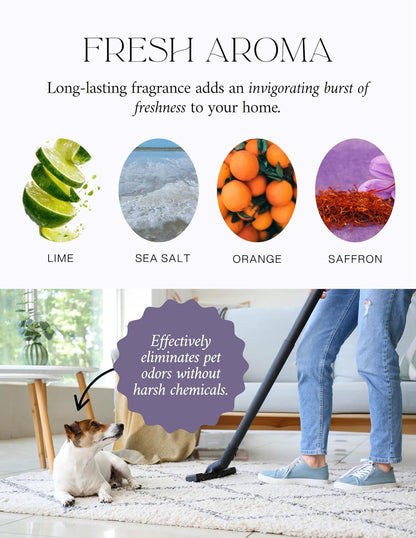 Home “Sea Salt & Lime” Carpet Deodorizer Powder – Natural Odor Eliminator for Carpets, Upholstery, Pet Urine, Dog Beds & Cat Litter Boxes – Pet-Friendly, Non-Toxic Spring Cleaning