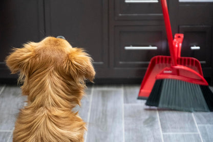 O-Cedar One Sweep Broom with Step-On Dustpan | Remove 99% with One | Lightweight Quiet Cleaning Tool | Ideal for Pet Owners