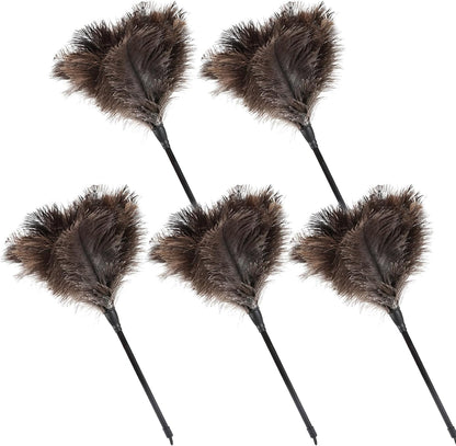 Ostrich Feather Duster 12 Inch Handheld Duster Supplies, Wooden Handle Feather Duster for Cleaning Keyboard Home Car Office (Champagne)