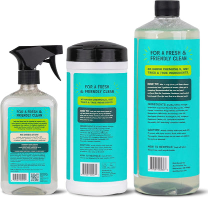 Aunt Fannie's All Purpose Household Cleaner, Multi-surface Spray, Powered by Vinegar for Kitchen, Bath, Windows and Countertops, Eucalyptus Scent (Pack of 1)