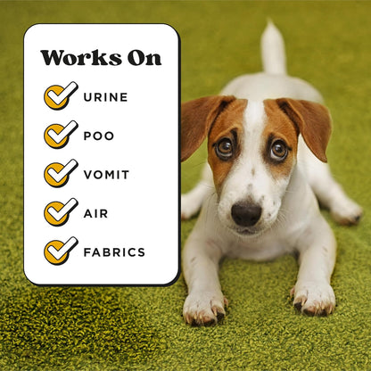 Pet-Pourri Pawsitively Fresh Pet Odor Deodorizer Spray, 16 Fl Oz, Up to 800 Uses, Air + Fabric Odor Remover with Essential Oils & Plant Based Ingredients, Vet Recommended, Pineapple, Jasmine & Pear