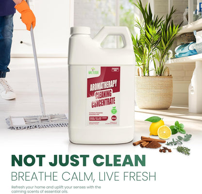 Naeterra Aromatherapy Cleaning Concentrate 64 oz - Natural All Purpose Multi Surface Cleaner - Plant Based Essential Oil Formula for Floors, Glass & Counters - Makes 24 Gallons - Pet Safe & Non Toxic