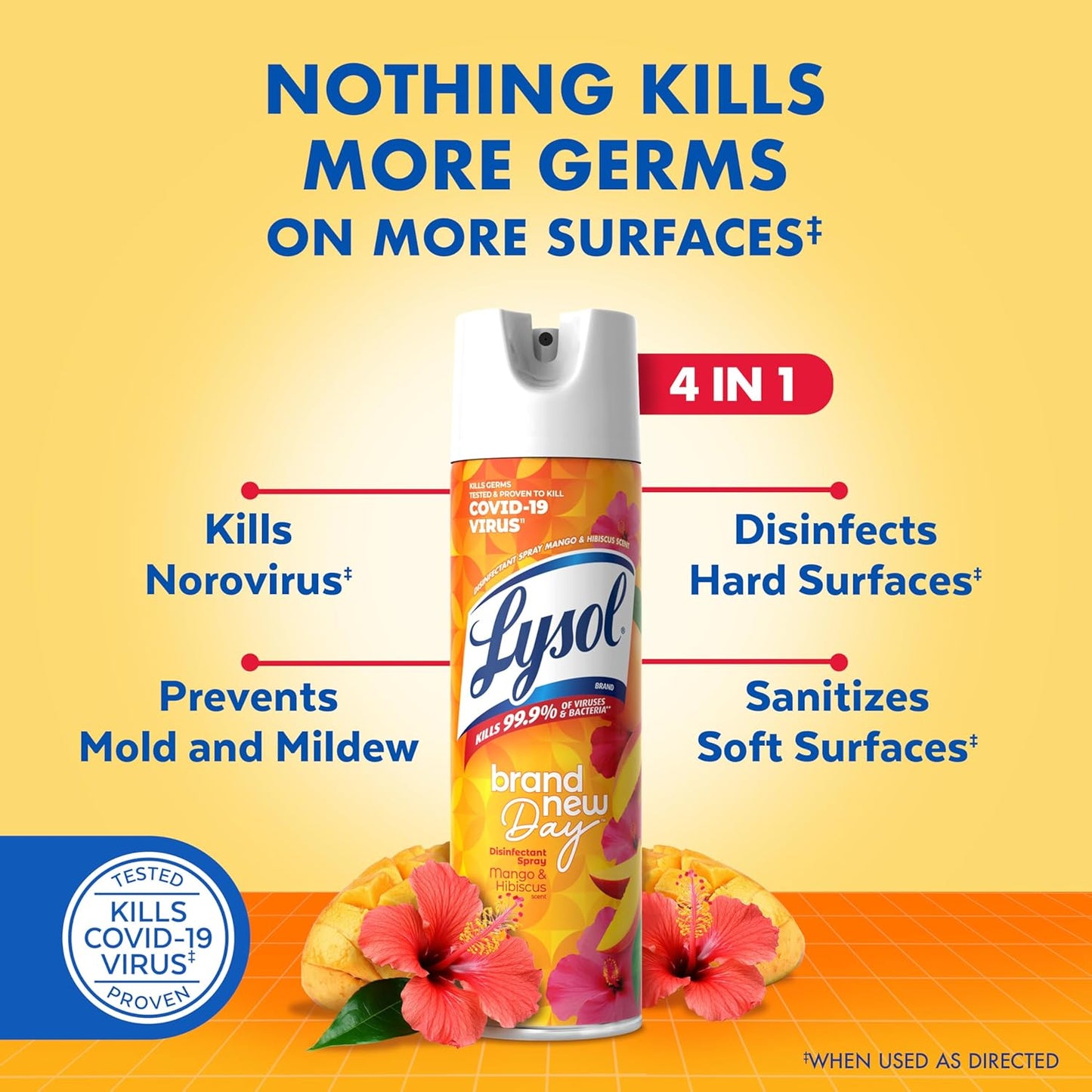 Lysol Disinfectant Spray, Sanitizing and Antibacterial Spray, For Disinfecting and Deodorizing, Mango & Hibiscus, 19 Fl. Oz (Pack of 2)