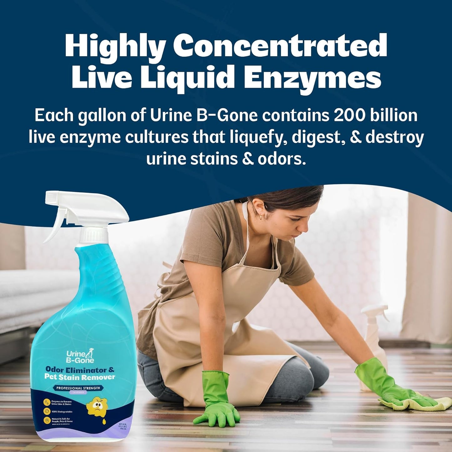 Urine B-Gone, Professional Enzyme Odor Eliminator & Pet Stain Remover, Human, Cat & Dog Urine Cleaner, Effective on Laundry, Carpets & More, Original Scent, 1 Gallon