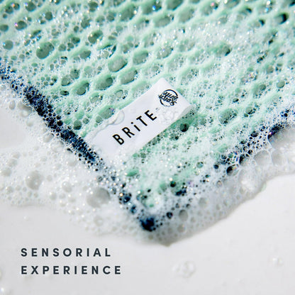 Brite by Scotch-Brite Limited Edition 4-Piece Scrub and Wipe Collection with 1 Rich-Foaming Dish Scrubber, 1 Quick-Dry Mesh Scrubber, and 2 Reusable Sponge Cloths