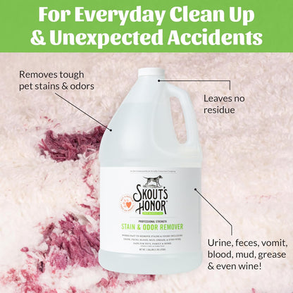SKOUT'S HONOR Severe Mess Stain & Odor Eliminator, Powerful Stain Remover and Carpet Cleaner for Tough Dog Messes, Eco-Friendly Carpet Deodorizer, Cleaning Spray and Poop Spray, 35 oz