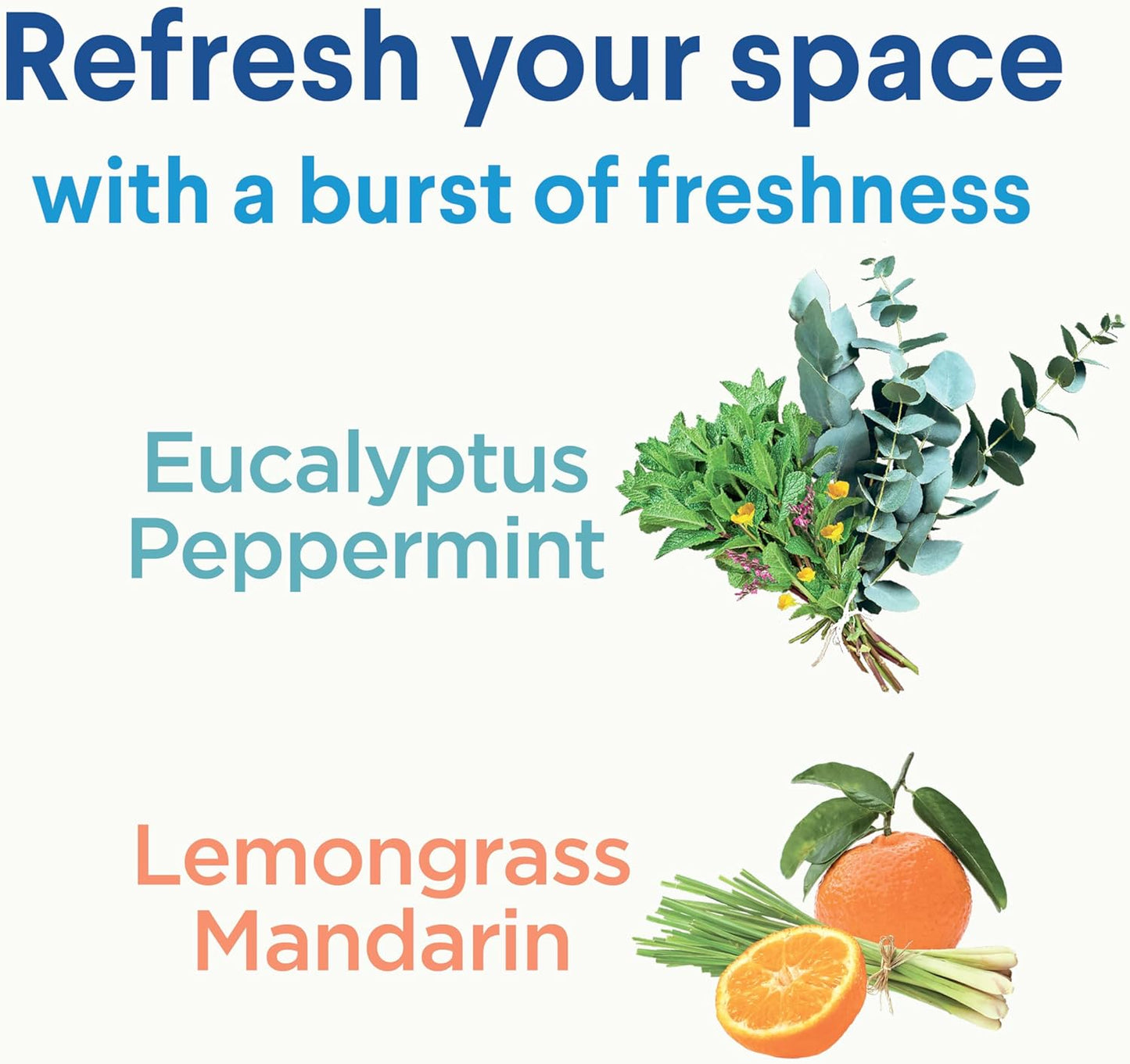 Clorox Disinfecting Mist, Eucalyptus Peppermint, Disinfecting Spray, 16 Fluid Ounces