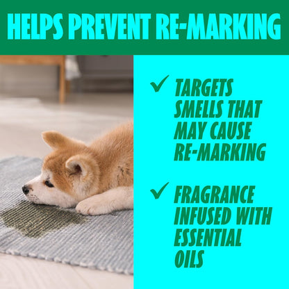 Shout Pet Stain Remover Spray, Color-Safe Multisurface & Carpet Cleaner Solution for Dog & Cat Urine, Feces, Vomit & Mud, Fights Odors & Remarking, Fast-Acting Cleans in 5 Minutes or Less, 22oz