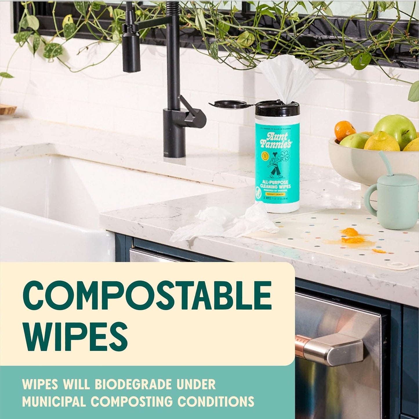 Aunt Fannie's Natural Cleaning Vinegar Wipes, Multipurpose Surface Cleaner, Eucalyptus Scent, 35 Count (Pack of 1)