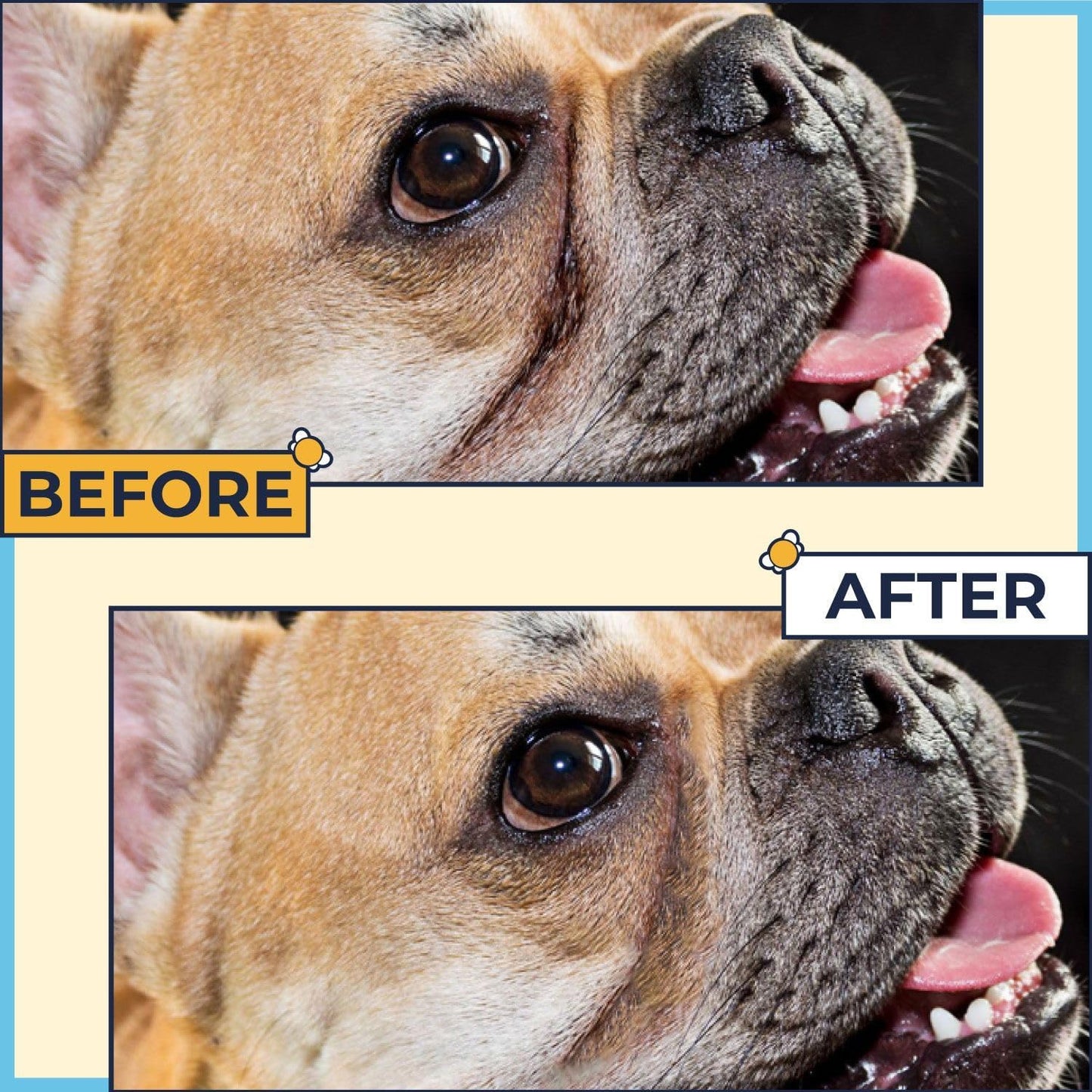 Paste for Bulldogs Wrinkle 2oz+ 50 Wrinkle Wipes French Bulldog (Pack of 2)- Wrinkle Cream for Dogs, Frenchie, English Bulldog, Pug- Cleans Rashes,Tail Pockets, Dry Skin & Paws (Made In USA)