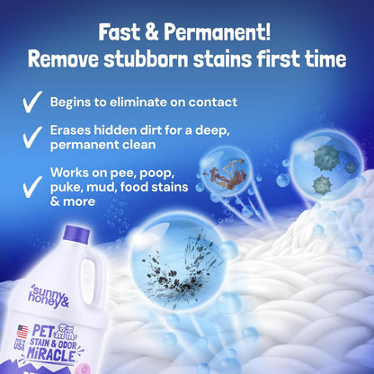 Sunny & Honey Pet Stain and Odor Remover - Enzyme Cleaner for Dog Urine and Poop on Carpets and Furniture - Strong Pet Carpet Cleaner Spray (1 Gallon Mint)