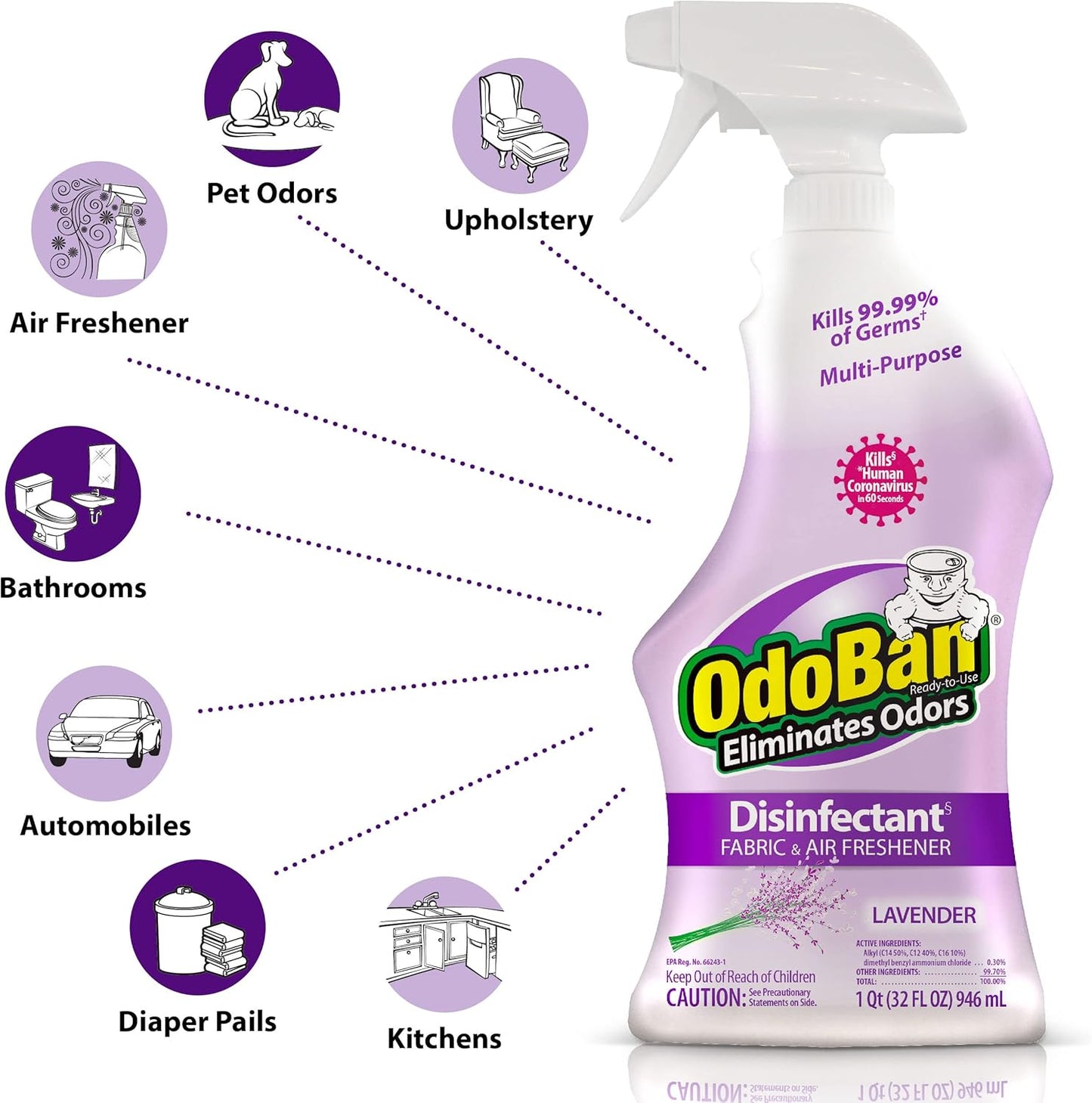 OdoBan Ready-to-Use Disinfectant and Odor Eliminator, Made in the USA, Original Eucalyptus Scent, Set of 3, 2 Spray Bottles, 32 Ounces Each and 1 Gallon Concentrate